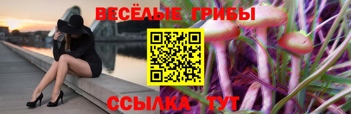 Галлюциногенные грибы мицелий Белорецк